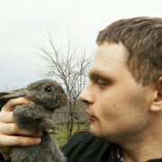 ���������� ������, ���� ������� ������, 39 ���, ������������ ��� ����� � ���������, c�������� ���������