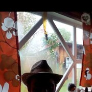 ���������� ����, ���� ������� ����, 43 ����, ������������ ��� ����� � ���������, c�������� ���������