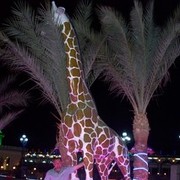  ,   , 43 ,   ,   , c 