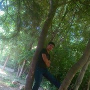  ,   , 36 ,   
