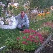  ,   , 50 ,   ,   , c 