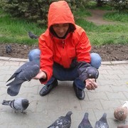  ,   , 36 ,   ,   , c 