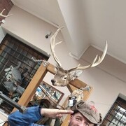  ,   , 46 ,     , c 
