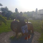  -,   , 39 ,   ,   