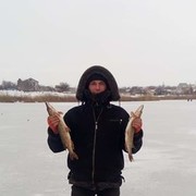 ���������� ������ ���, ���� ������� ����, 37 ���, ������������ ��� ������, ����� � ���������, c�������� ���������