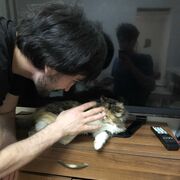 ���������� ������, ���� ������� ������, 27 ���, ������������ ��� ������, ����� � ���������