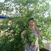 ���������� �������, ���� ������� ������, 51 ���, ������������ ��� ����� � ���������, c�������� ���������