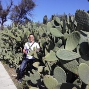  --,   , 42 ,   ,   , c 