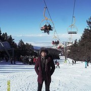 ���������� �������, ���� ������� Tyncha, 33 ����, ������������ ��� ������