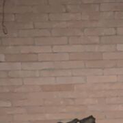 ���������� �������, ���� ����� ������, 23 ����, ������������ ��� ������, ����� � ���������