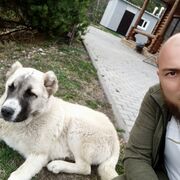 ���������� �������, ���� ������� ������, 36 ���, ������������ ��� ������, ����� � ���������