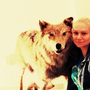 ���������� �����, ���� ������� ����, 40 ���, ������������ ��� ������, ����� � ���������, c�������� ���������