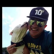  Delft,   ALEX, 44 ,     , c 