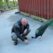 ���������� �����-���������, ���� ������� ������, 58 ���, ������������ ��� ������, ����� � ���������, c�������� ���������, ���������