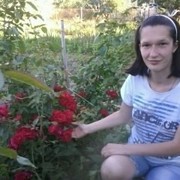 ���������� ����, ���� ������� ����, 34 ����, ������������ ��� ������, ����� � ���������, c�������� ���������