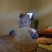 ���������� �����������, ���� ������� ����, 38 ���, ������������ ��� ������, ����� � ���������