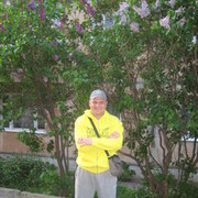 ���������� �����, ���� ������� Zero, 46 ���, ������������ ��� ������, ����� � ���������, c�������� ���������