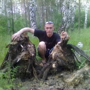 ���������� ���������, ���� ������� ���������, 43 ����, ������������ 