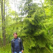  ,   , 51 ,  