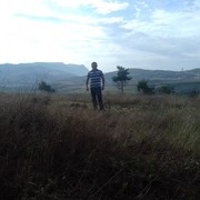 ���������� �����������, ���� ������� ����, 39 ���, ������������ ��� ������, ����� � ���������, c�������� ���������