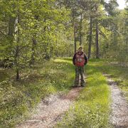 ���������� �����, ���� ������� ����, 33 ����, ������������ ��� ������, ����� � ���������, c�������� ���������, ���������