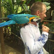 ���������� ����, ���� ������� ���������, 55 ���, ������������ ��� ������, ����� � ���������