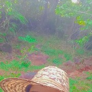 ���������� ������, ���� ����� Alexey, 25 ���, ������������ ��� ������, ����� � ���������