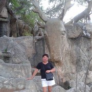  ,   , 70 ,   ,   , c 