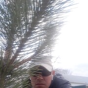  ,  , 41