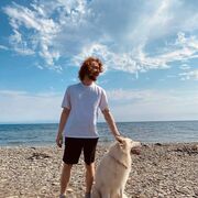 ���������� �����������, ���� ������� �������, 28 ���, ������������ ��� ������, ����� � ���������, ���������