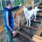 ���������� ������������, ���� ������� �����, 29 ���, ������������ ��� ������, ����� � ���������, c�������� ���������, ���������