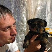 ���������� ������, ���� ������� ������, 50 ���, ������������ ��� ������, ����� � ���������, c�������� ���������