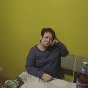  ,   , 51 ,     , c , 