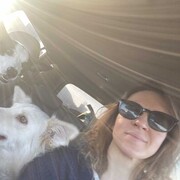 ���������� ������, ���� ������� �������, 42 ����, ������������ ��� c�������� ���������