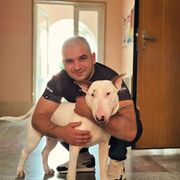 ���������� Ҹ������, ������� ��, 36