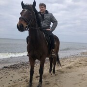 ���������� �����������, ���� ������� ����, 38 ���, ������������ ��� ������, ����� � ���������