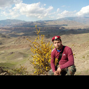 ���������� ���, ���� ������� �����, 30 ���, ������������ ��� ������, ����� � ���������, c�������� ���������, ���������