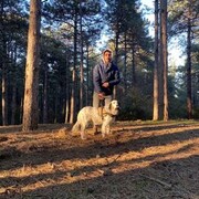 ���������� ������, ���� ������� �����, 31 ���, ������������ ��� ������, ����� � ���������, c�������� ���������, ���������