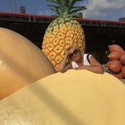 ���������� �����-���������, ���� ������� ����, 57 ���, ������������ ��� c�������� ���������, ���������