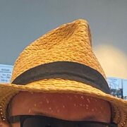 ���������� ������-��-����, ���� ������� ���������, 44 ����, ������������ ��� ����� � ���������, c�������� ���������