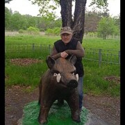 ���������� �����������, ���� ������� ����, 66 ���, ������������ ��� c�������� ���������