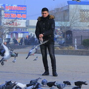 ���������� ������� ��������, ���� ������� Daler, 26 ���, ������������ ��� ������, ����� � ���������