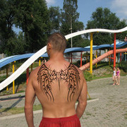  ,   , 33 ,   