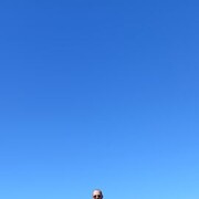 ���������� ������, ���� ������� ��, 36 ���, ������������ ��� ������, ����� � ���������, c�������� ���������, ���������