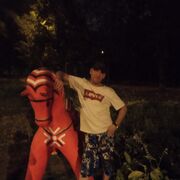 ���������� ������, ���� ������� ����, 42 ����, ������������ ��� ������, ����� � ���������