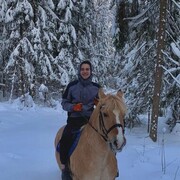 ���������� ���������, ���� ����� ����, 23 ����, ������������ ��� ������, ����� � ���������