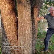  ,   , 68 ,   ,   