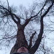 ���������� ������, ���� ������� �����, 36 ���, ������������ ��� ������, ����� � ���������, c�������� ���������, ���������