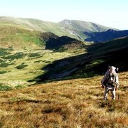 ���������� ����, ���� ������� ������ �����, 47 ���, ������������ ��� ������