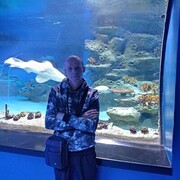 ���������� �����������, ���� ������� ����, 50 ���, ������������ ��� ����� � ���������, c�������� ���������, ���������